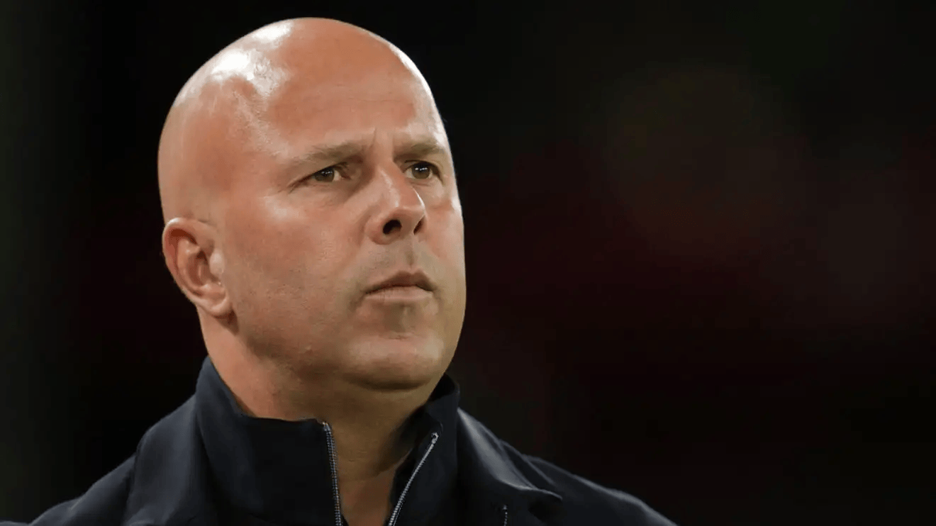 洛特表示, entit 洛特表示, entit