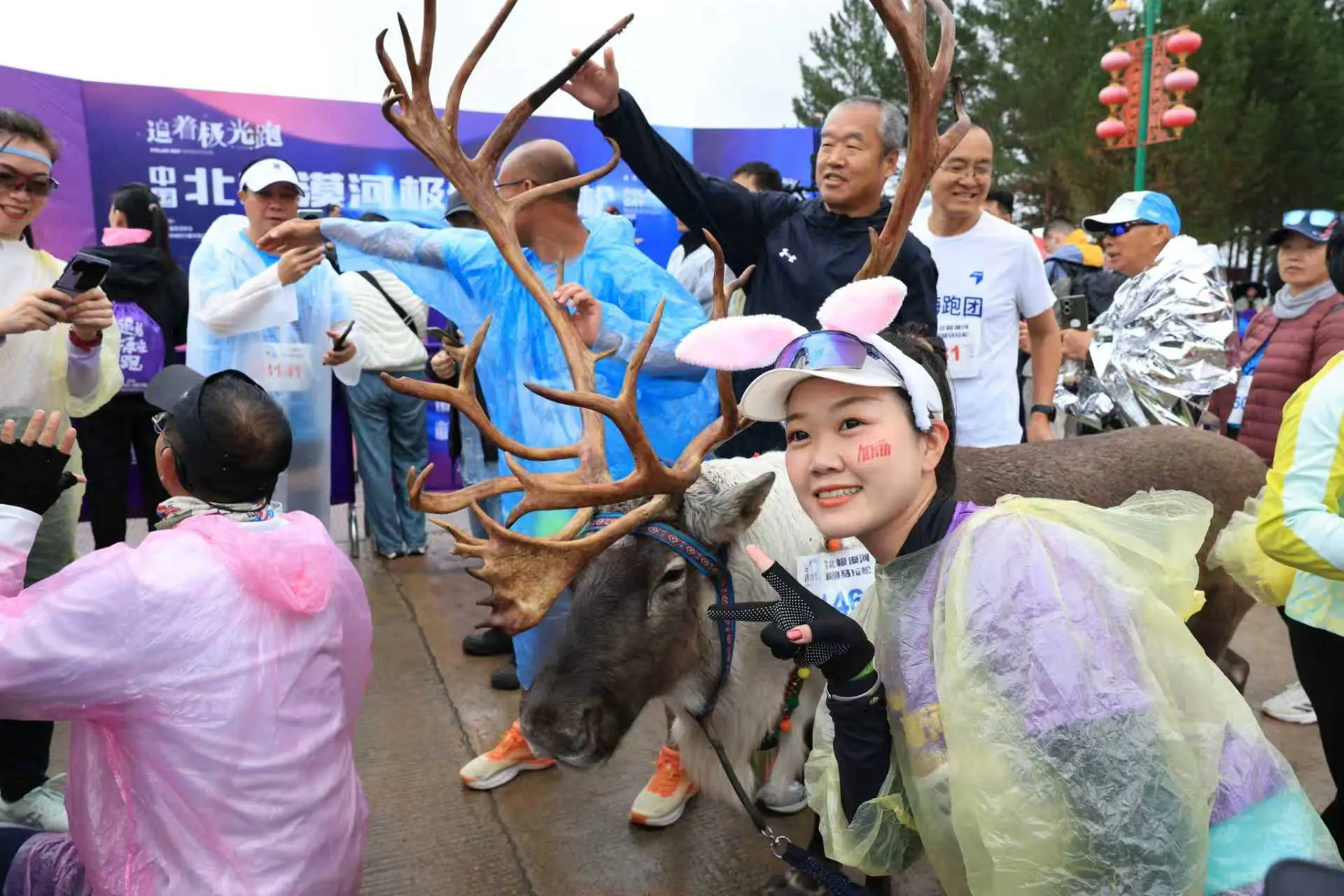 src, 江鱼汤, 三个级别的 src, 江鱼汤, 三个级别的